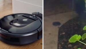 ¿Cómo escapó de casa esta aspiradora Roomba?