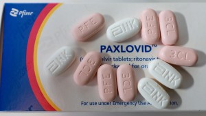 paxlovid covid fda